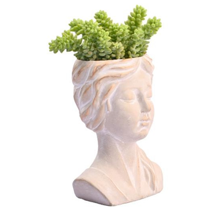 กระถางปลูกต้นไม้หน้าสำหรับตกแต่งสวนกระถางบอนไซอวบน้ำกระถางซีเมนต์ขนาดเล็กสำหรับปลูกในร่มกลางแจ้งกล่องวินเทจ - Product Image 2