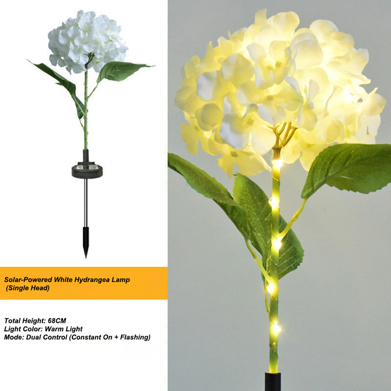 Hydrangée blanche à une tête, grande taille