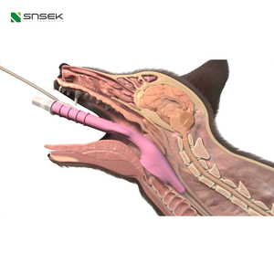 Dispositivos de vía aérea supraglótica, dispositivo de reanimación para anestesia veterinaria, tubo traqueal para perros, de reanimación - Product Image 1