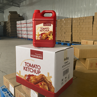 Ketchup de tomate OEM à faible MOQ, 9g, 340g en vrac, sachet, bouteille, sac, briquet, emballage aseptique, prix usine bas