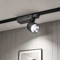 Ventes chaudes : Lampe orientable à angle réglable 15 W, anti-éblouissement, lampes COB, projecteur LED sur rail pour éclairage commercial