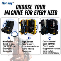 Máquina de Terapia de Campo Electromagnético Pulsado Digital Programable para Servicios Veterinarios Profesionales Equinos, PEMF para Caballos