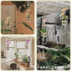 <span class=keywords><strong>Pot</strong></span> de fleurs <span class=keywords><strong>suspendu</strong></span> carré moderne en bois émaillé <span class=keywords><strong>pour</strong></span> orchidées artificielles, personnalisable, <span class=keywords><strong>pour</strong></span> intérieur/extérieur, vente en gros - Product Image 4
