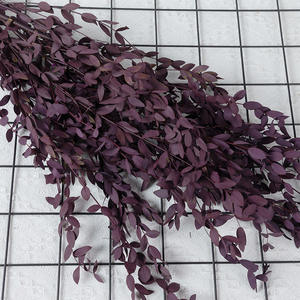 G41 Nouveautés Feuilles d'<span class=keywords><strong>eucalyptus</strong></span> naturelles sèches bon marché Fleurs décoratives <span class=keywords><strong>Guirlande</strong></span> d'<span class=keywords><strong>eucalyptus</strong></span> à fleurs séchées - Product Image 5