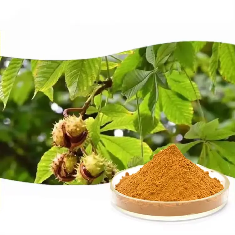 Pure natural 100% high quality Organic Horse chestnut extract Aescin 20%-98% Health Food Applications