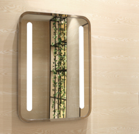 Miroir mural LED argenté à coins arrondis, éclairage latéral, design moderne, verre anti-traces de doigts, CCT réglable en option