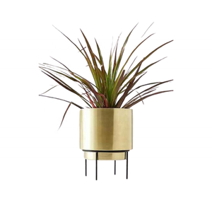 Modern Iron Flower Pot with Stand Circular Minimalist Design Indoor Plant Planter Chrome Plated Eco-Friendly Durable Desktop Use - Product Image 2