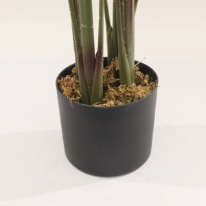 ต้นปาล์มประดิษฐ์ JWS4022 คุณภาพสูง ผลิตด้วยมือ หรูหรา เป็นมิตรกับสิ่งแวดล้อม ขนาดสั่งทำได้ 150-170 ซม. ต้นไม้จำลองในร่มแบบบอนไซ - Product Image 4