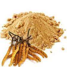 Extracto de Cordyceps Militaris Premium en Polvo, Suministro a Granel con Alta Pureza y Textura Fina para Formulaciones Nutracéuticas y Herbales - Product Image 2