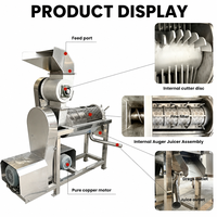 Fabrieks prijs continue schroefpers sapcentrifuge grote capaciteit schroefpers spiraalvormige fruitpers machine hoge opbrengst productielijn