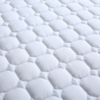 Housse de protection de matelas imperméable matelassée Drap-housse Anti-acariens Housse de matelas réglable antibactérienne Double King Queen Bed