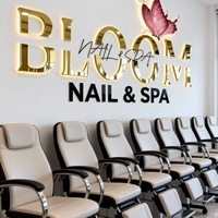 Enseignes LED 2025 pour Salons de Beauté et Spas, Lettres Acryliques Lumineuses, Enseigne Personnalisée pour Bureaux et Entreprises, Signalétique Rétroéclairée, Résistante à l'Eau
