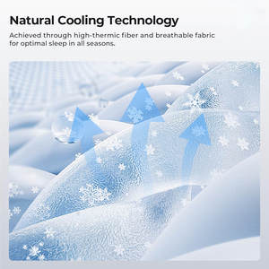 Cobertura de colchão de espuma de memória com Cooling Gel & Bamboo Charcoal, Bed <span class=keywords><strong>Topper</strong></span> Espuma Colchão para Hotel Project, Tampa removível - Product Image 4