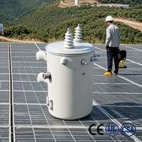 Transformador de Poste Monofásico de 75kVA 100kVA 167kVA Tipo Aceite 11kV/440V-220V 60Hz Resistente a la Intemperie, Transformadores de Aislamiento de Media y Alta Tensión