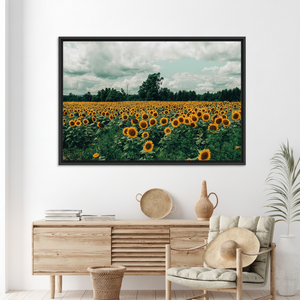 Sunflower Field Canvas Print: Nature Landscape Printed Wall Art,<b>BLACK</b> <b>FRAMED</b> CANVAS - Product Image 3