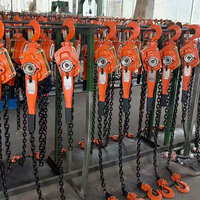 Palans à levier manuels de 3 tonnes (3000 kg) avec chaîne G80 et cliquet, longueurs de levage de 1,5 m, 3 m, 6 m, 9 m, 12 m, pour l'entretien de machines légères