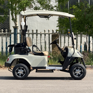 <span class=keywords><strong>Voiturette</strong></span> de golf tout-terrain entièrement personnalisée pour 2 passagers, homologuée pour les routes pavées et les chemins en terre battue - Product Image 2