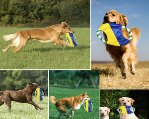 Munchiecat suşi oyuncaklar köpekler için gerçek görünümlü köpek hayvan oyuncak küçük top dağıtıcı yavaş gıda 5 renkler ile basit ağaç pamuk halat - Product Image 5