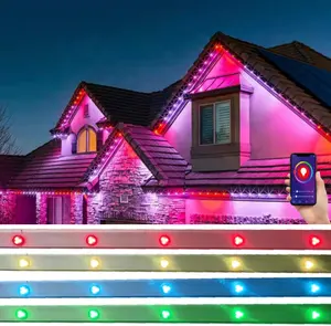 12V RGBW 단위 옥외 벽 포도 수확 led 반점 선 화소 빛 30mm 보충 전구 영원한 크리스마스 점 빛