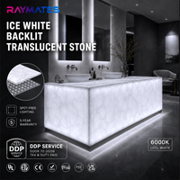 Plaque LED modulaire Raymates Flex CCT Tunable DC 24V pour éclairage de comptoir en marbre, pour usage en entrepôt, avec indice de protection IP20