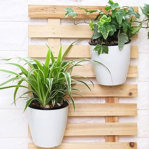 Jardinières suspendues verticales auto-arrosantes Jardinière d'angle Pots de plantes muraux <span class=keywords><strong>Pot</strong></span> d'auto-eau d'<span class=keywords><strong>orchidée</strong></span> - Product Image 4