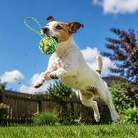 OEM Jouet pour chien balle magique roulante, moderne, écologique, interactif, en caoutchouc mignon de 5 cm, distributeur de friandises quotidien et mangeoire lente à mâcher
