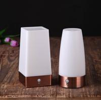 Offre Spéciale Capteur De Mouvement À Piles Pir D'intérieur de Lampe de Table Menée Sans Fil Veilleuse Éclairage Et Conception des circuits Blanc Chaud