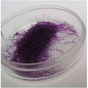 Muy popular, precio al por mayor, Material sintético de color de pelo, extensiones de pestañas de alta calidad de Corea a la venta, pestañas postizas - Product Image 2