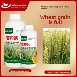 특수 퇴비 밀 통통한 씨앗 제어 과성장 고수익 발아 저항 숙박 감소 경사진 풀 그레인 - Product Image 5