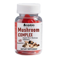 Collagène de type III à base de bouillon d'os, marque privée OEM, avec complexe de 6 champignons en poudre pour la nutrition quotidienne et les compléments bien-être
