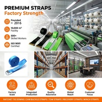 Sangle d'arrimage à cliquet en polyester haute ténacité 1200 kg avec poignée caoutchoutée par électrophorèse noire, directement de l'usine, vente en gros
