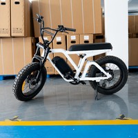 Vélo électrique tout-terrain à pneus larges de 20 pouces pour adultes, livraison rapide, adapté à la neige