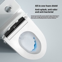 Siège de toilette intelligent sans réservoir avec télécommande, bidet intégré, buse de lavage pour hygiène féminine, en plastique