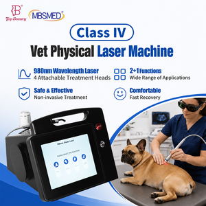 Dispositivo Láser Veterinario Portátil de 10.1 Pulgadas con Pantalla, 980nm, 30W, con Programas Preestablecidos para Cuidado en Clínicas Veterinarias - Product Image 1