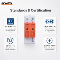 Parafoudre basse tension de type T2 SPD DC 500V 20KA~40KA pour protection contre la foudre, directement de l'usine