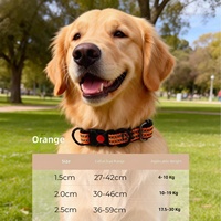 Collier Moderne Rayé 100% Nylon pour Chiens et Chats - Conception Détachable Durable et Réglable, Léger, Respirant, Décoratif et Réfléchissant
