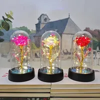 Lampe de nuit LED en forme de rose réaliste, rose éternelle magnifiquement réaliste pour les fêtes de remise des diplômes, la Saint-Valentin