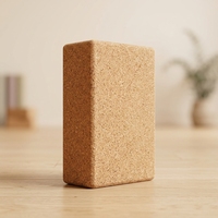 Syntus Kork Yoga Block & Gurt Set 2-teilig Hochdichte Weiche Rutschfeste Yoga-Blöcke 9x6x4 Zoll 8FT Metall D-Ring Gurt für Pilates
