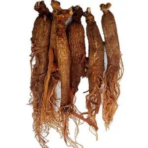 Ginseng Roots 6 year Red ginseng