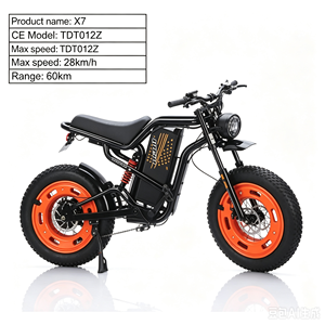 Vélo Électrique Haute Vitesse <span class=keywords><strong>WOSU</strong></span> X9 Chine, Vélo Électrique à Batterie Lithium, Éclairage LED, Pneus 200-4.0, Moteur Brushless, Freinage Hydraulique, Électronique, 750W, Meilleures Ventes - Product Image 6