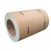 Bobine d'acier prépeint PPGI à grain de bois de haute qualité, imprimée, largeur personnalisée pour la fabrication de meubles