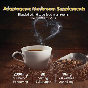Extracto Herbal en Polvo de <span class=keywords><strong>Hongos</strong></span> con Melena de León y Chaga para la Concentración y Claridad Mental, Vegano, Keto, Estimulante Cerebral, 180g - Product Image 5