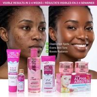 NOUVEAU Ensemble de soins du visage WholesaleALPHA ARBUTIN 3 PLUS avec collagène pour éclaircir et lutter contre le vieillissement pour les peaux noires 4 en 1