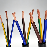RVV 3-adriges Steuerkabel 300/500V PVC-Ummanteltes Niederohmiges CCA Elektrokabel