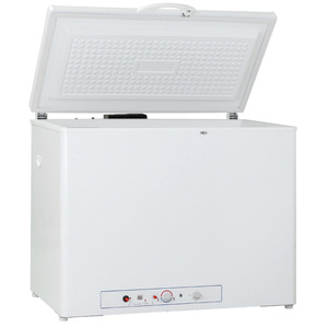 Réfrigérateur à absorption, réfrigérateur et congélateur à gaz pour réfrigérateur au kérosène DDG-275B1E - Product Image 3