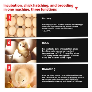 1000 Gà Trứng Lồng Ấp Hatcher Cho Bán/Gia Cầm Lồng Ấp/Trứng <span class=keywords><strong>Hatching</strong></span> Máy Gia Cầm Lồng Ấp Máy - Product Image 4