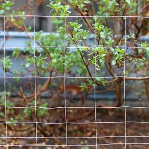 Yuking जाल 4x4 2x4 <span class=keywords><strong>2x3</strong></span> इंच जस्ती स्टील वेल्डेड तार बाड़ जस्ती वेल्डेड तार बाड़ - Product Image 3