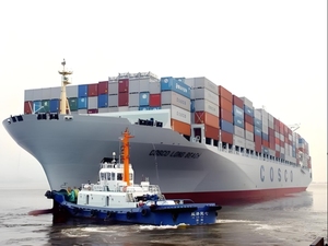Spedizione europea comprensiva di tasse, consegna camion: estremamente veloce, senza ritardi, pezzi sovradimensionati, indirizzo illimitato. - Product Image 3
