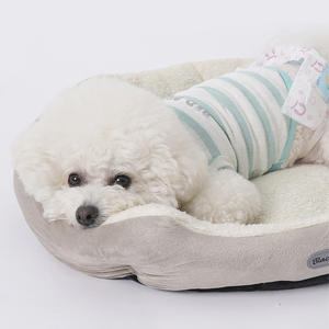 Alle Seizoenen Milieuvriendelijk Hondenkennel Ademend Duurzaam Slijtvast Sterk Bijtbestendig Voor Alle Honden Solide Voor De Winter - Product Image 3