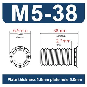 FH-M5*38 Große Menge Rabatt Gesamtmodellpalette Kohlenstoffstahl zincbeschichtete Niete-Schrauben